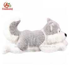 Chiens husky de chien en peluche réaliste qui ressemblent à un vrai jouet en peluche